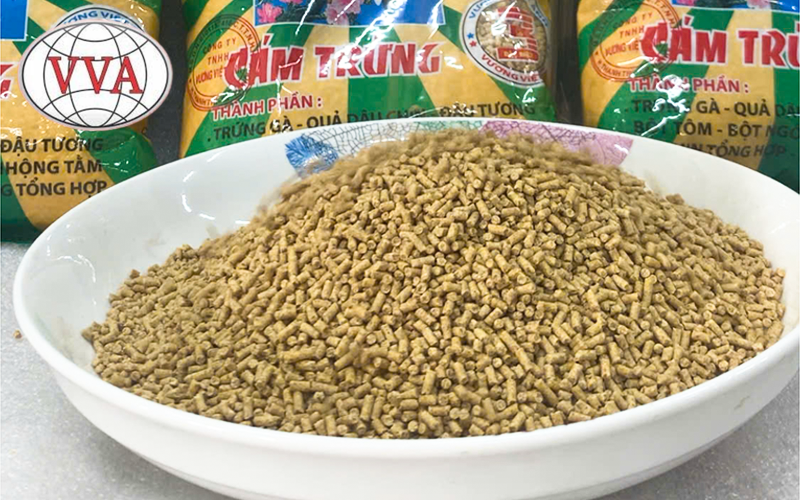 Những lưu ý lựa chọn cám chim cho người nuôi chim.
